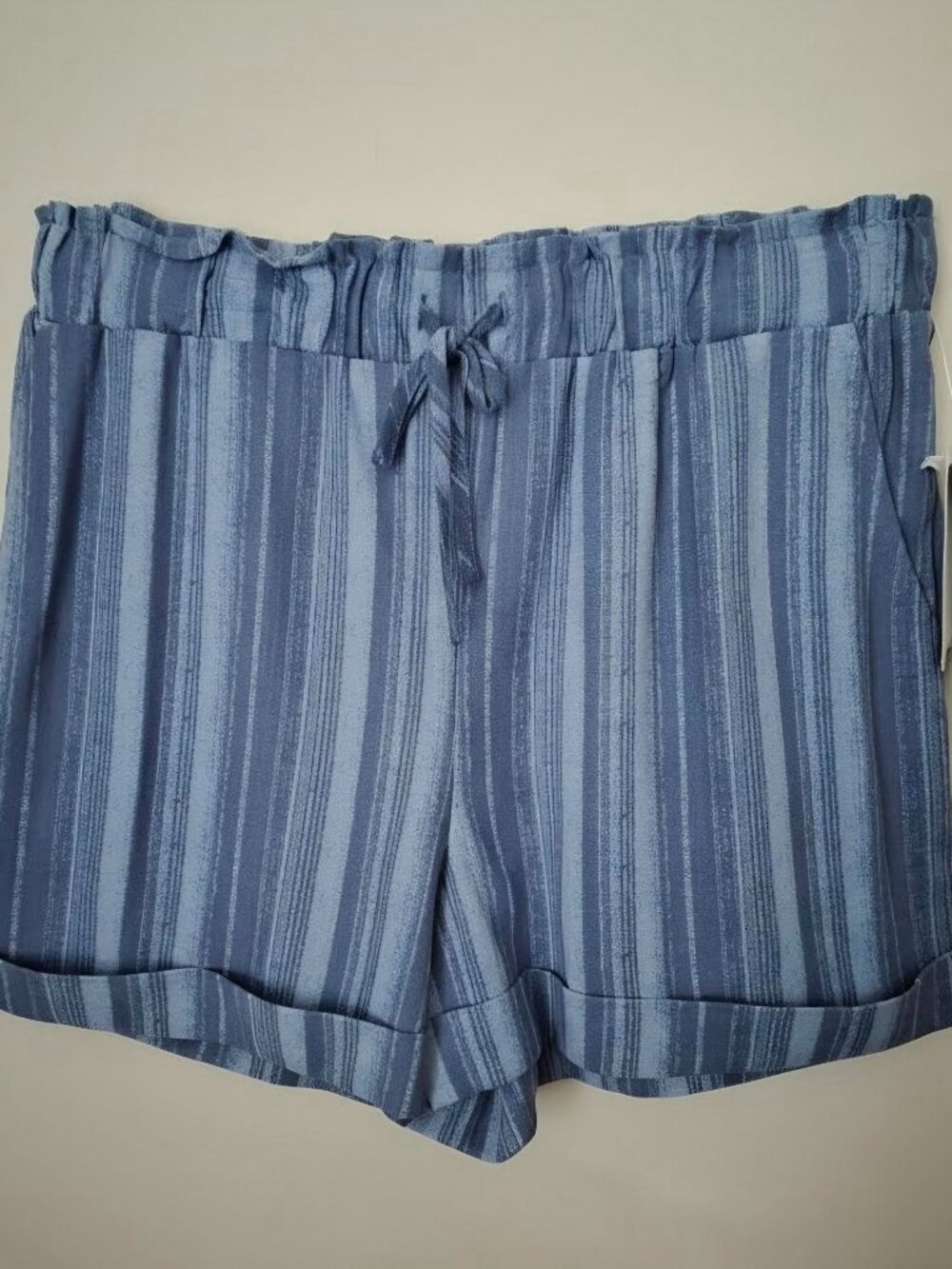 NWT Boho Blue Striped Honey & Sparkle Shorts | Women's Size L